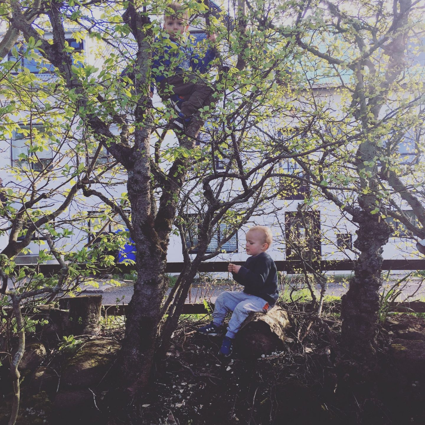 lífið og breytingar // life and changes